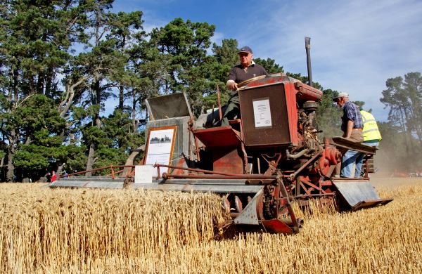 plantar, campo, Fazenda, transporte, colheita, veículo