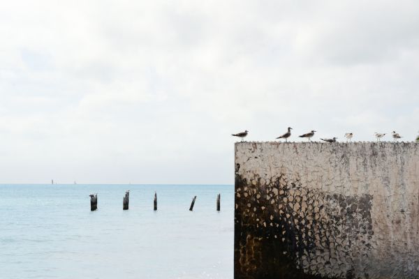 pantai,laut,pantai,air,lautan,pasir