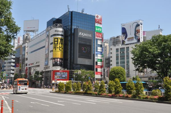 pedestre,estrada,tráfego,rua,Cidade,cidade