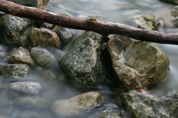 海,水,自然,森林,岩,クリーク