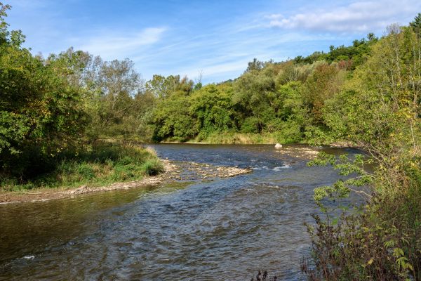 water, kreek, wildernis, rivier-, stroom, spoor