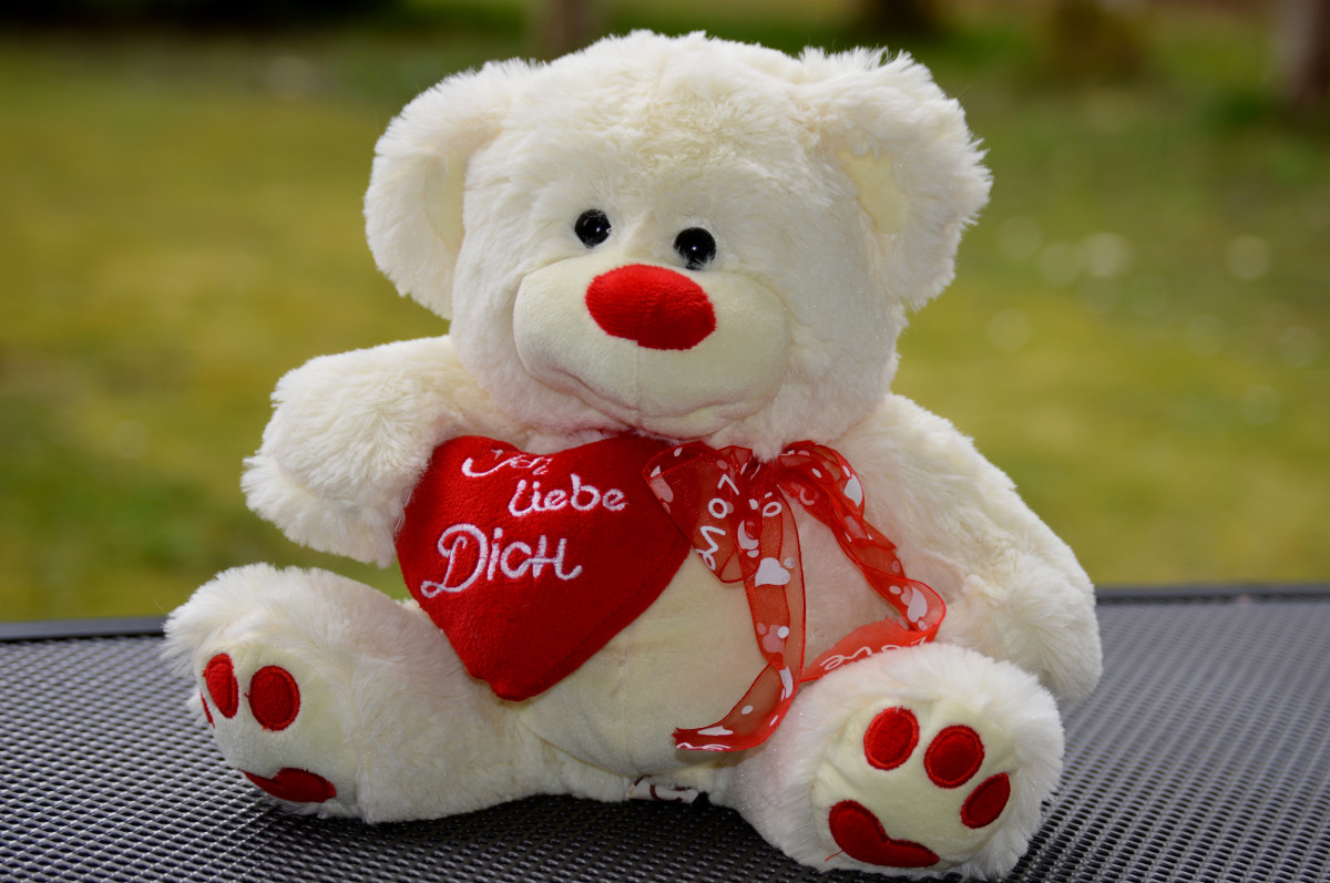 white, sweet, cute, bear, love, toy, teddy bear, textile, bears, funny, plush, teddy, valentine's day, stuffed toy