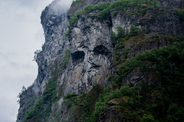 árbol,rock,cascada,montaña,cordillera,aventuras