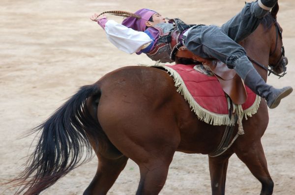 Esportes,cavalo,égua,galeria,jóquei,Acrobacias