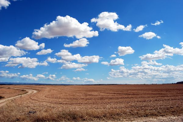 landscape,horizon,cloud,sky,field,prairie