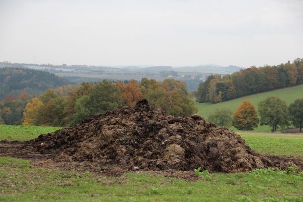 fa,mező,hegy,talaj,mezőgazdaság,bucka