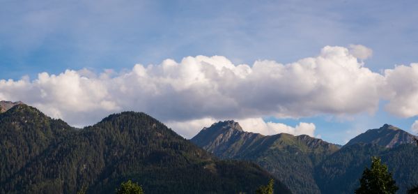 景观, 性质, 荒野, 山, 云, 天空