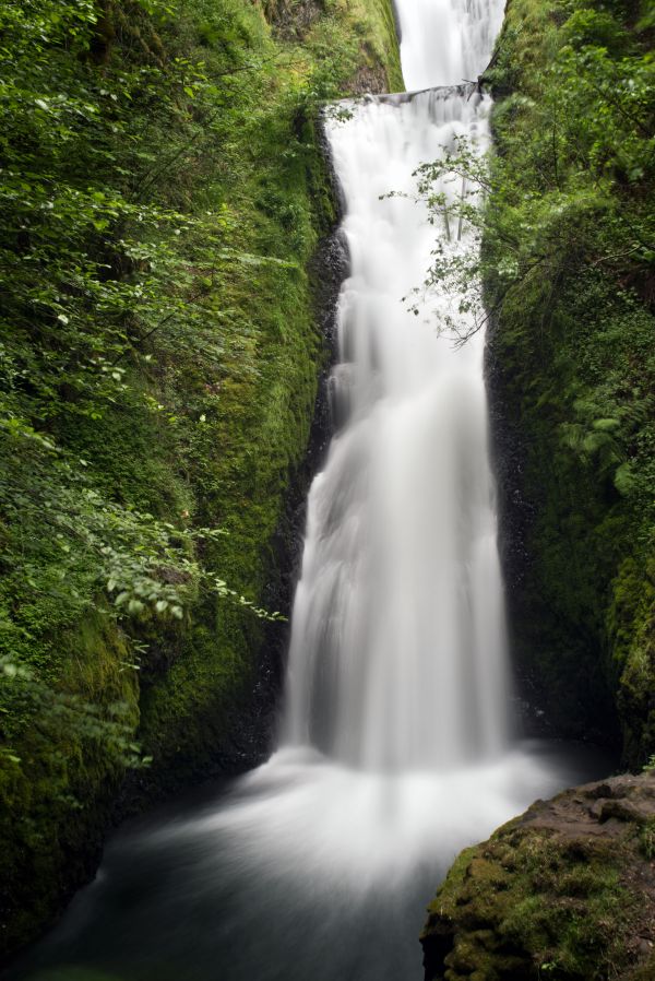 風景,水,自然,屋外,森林,滝