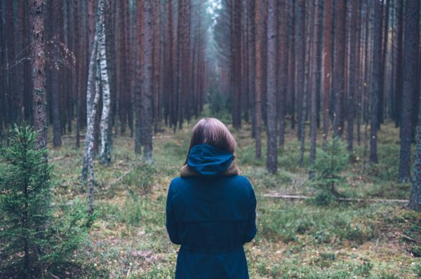 paesaggio,albero,natura,foresta,natura selvaggia,persona