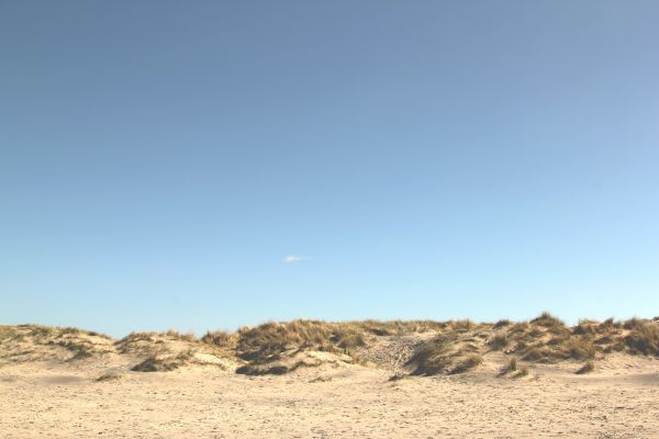 landschap, zand, horizon, prairie, woestijn, duin