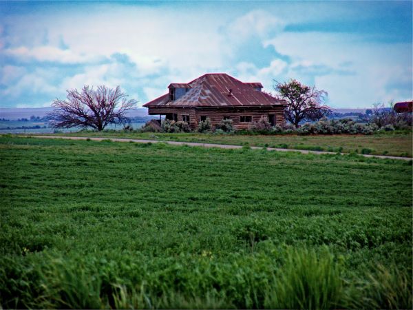 krajina, strom, Příroda, tráva, horizont, mrak