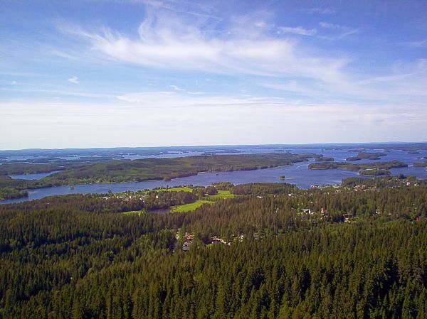 panorama, árvore, natureza, floresta, grama, agua