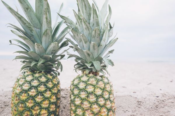 plage, le sable, plante, fruit, été, aliments