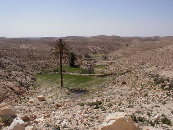 landscape,wilderness,trail,desert,valley,soil