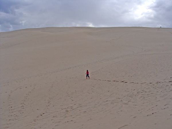 plage,mer,le sable,désert,dune,France