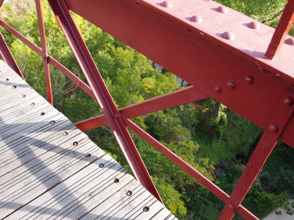 árvore,arquitetura,madeira,ponte,roda,urbano