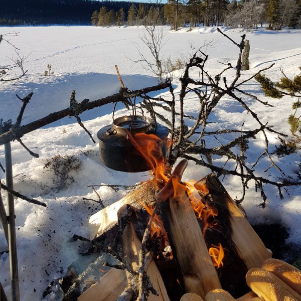 tree, nature, water, wilderness, snow, winter