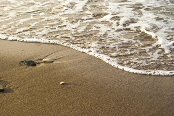 Strand,Meer,Küste,Wasser,Landschaft,Natur