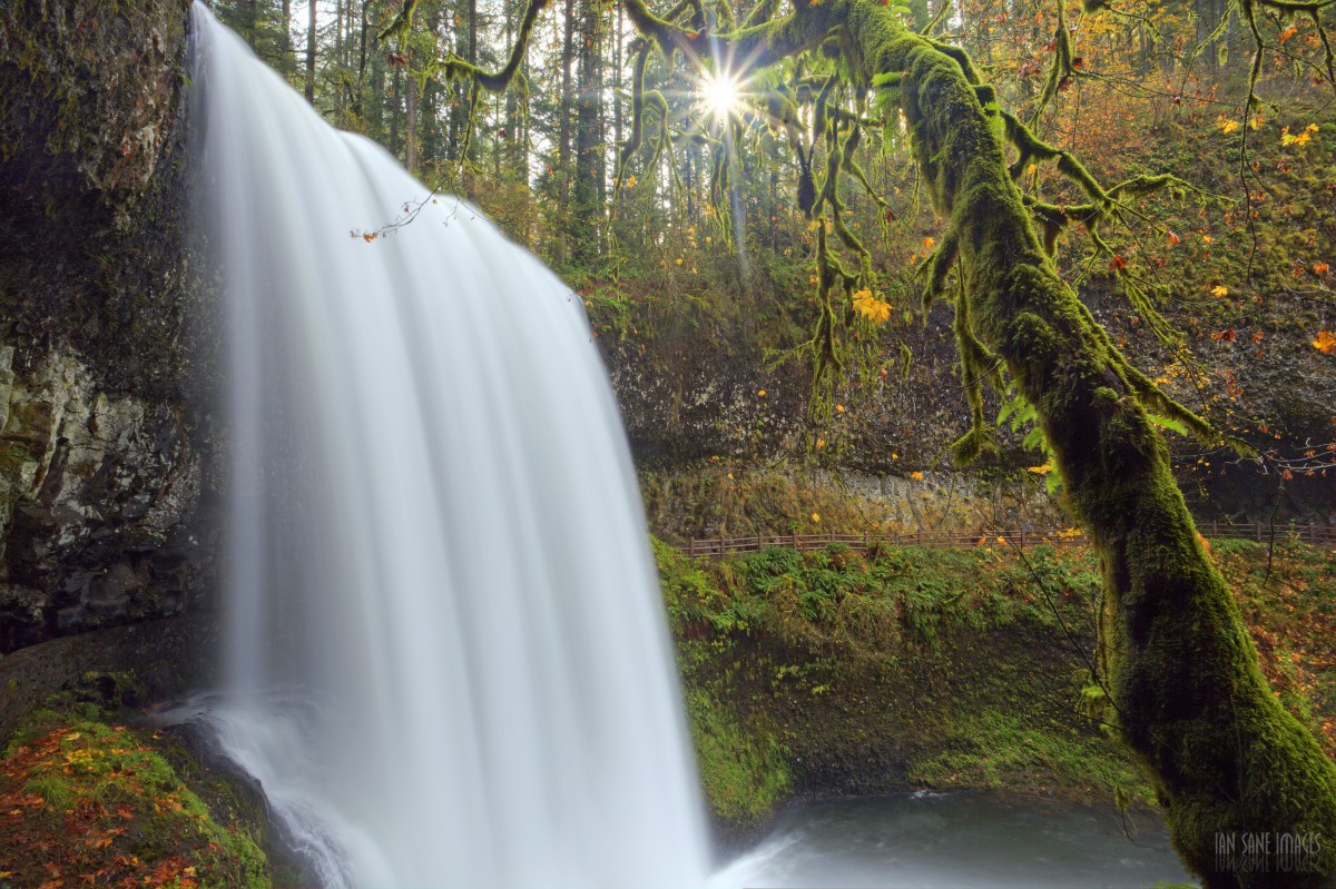 landschap, boom, water, natuur, Bos, waterval, camera, fotografie, zonlicht, blad, vallen, stroom, oerwoud, lens, herfst, canon, plantkunde, twee, tuin-, seizoen, waterlichaam, zuiden, lang, Eos, blootstelling, Cool beeld, kleuren, regenwoud, falls, Mark, ii, 5d, afbeeldingen, USM, lager, bos-, F4L, leefgebied, ik, waterpartij, Oregon, silverfallsstatepark, ian, geestelijk gezond, ef1740mm, verhevenheid, aburstingflood, natuurlijke omgeving