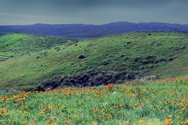 panorama, natureza, grama, ao ar livre, região selvagem, montanha