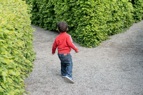 barn,sti,vej,græsplæne,spil,dreng