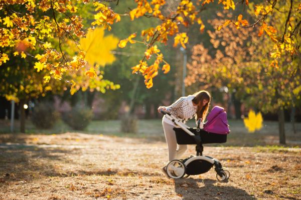 Produkt, Blatt, Baum, People in nature, Kinderwagen, Herbst