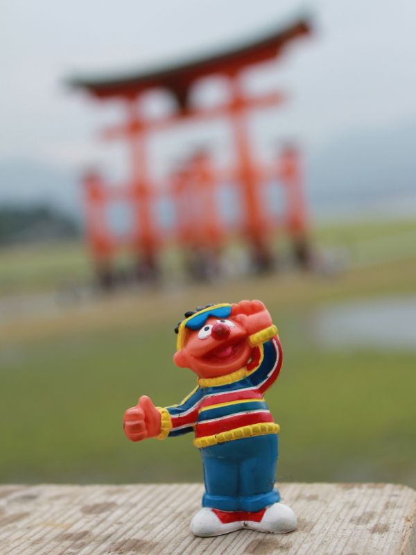 屋外,海,水,遊びます,赤,色