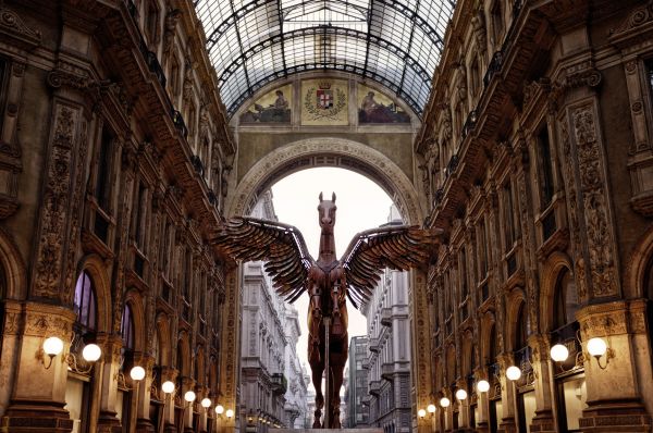 architecture,bâtiment,façade,statue,église,cathédrale