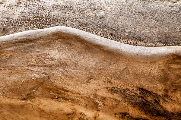 Holz,Textur,Baum,Natur,Sand,Rock