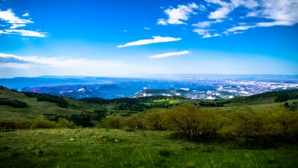 paisaje, árbol, naturaleza, bosque, césped, horizonte