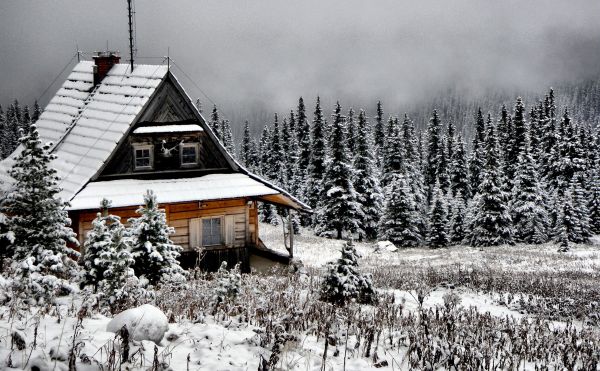 paysage,arbre,la nature,forêt,Montagne,neige