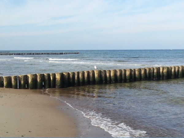 ビーチ, 海, 海岸, 水, 砂, 岩