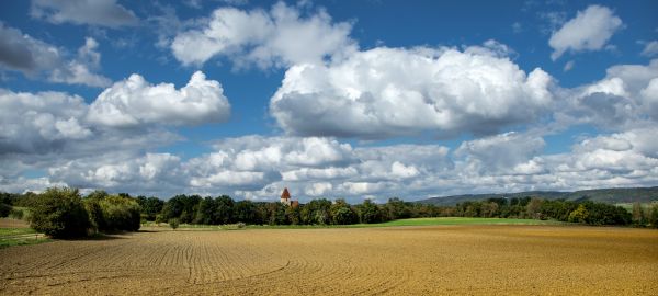 paesaggio,orizzonte,nube,cielo,natura,erba