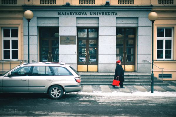 pedone, strada, strada, auto, casa, trasporto