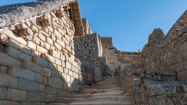 Roche, bâtiment, mur, monument, point de repère, fortification