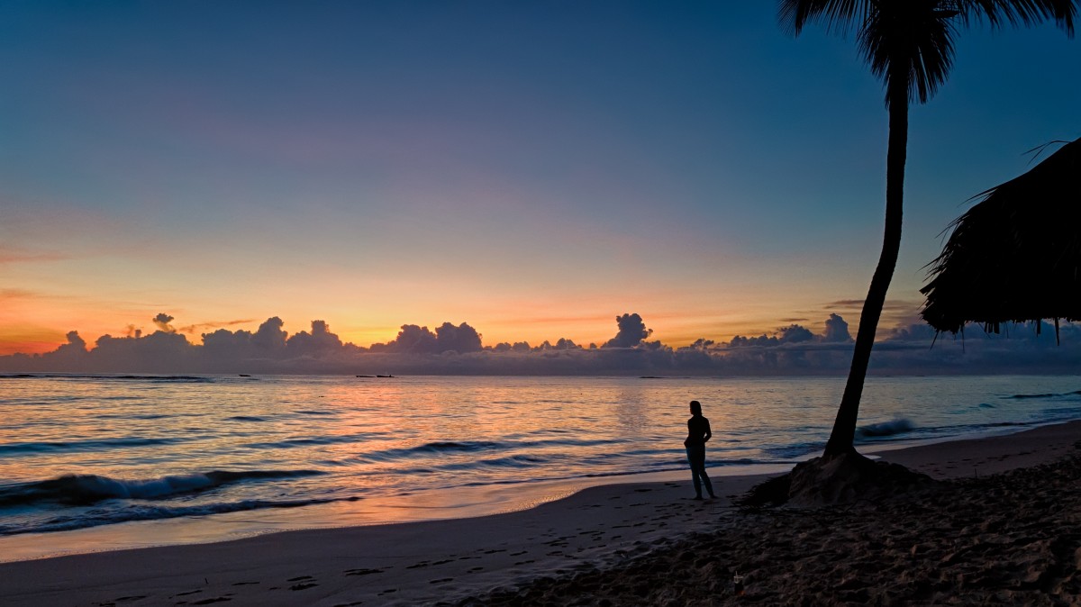 strand, zee, kust, boom, water, zand, oceaan, horizon, silhouet, wolk, hemel, zon, zonsopkomst, zonsondergang, zonlicht, ochtend-, kust-, Golf, dageraad, vakantie, reizen, schemer, avond, paradijs, palm, tropisch, kalmte, baai, eiland, blauw, waterlichaam, dominicaans, republiek, bavaro, kaap, nagloed, Oppervlaktegolf