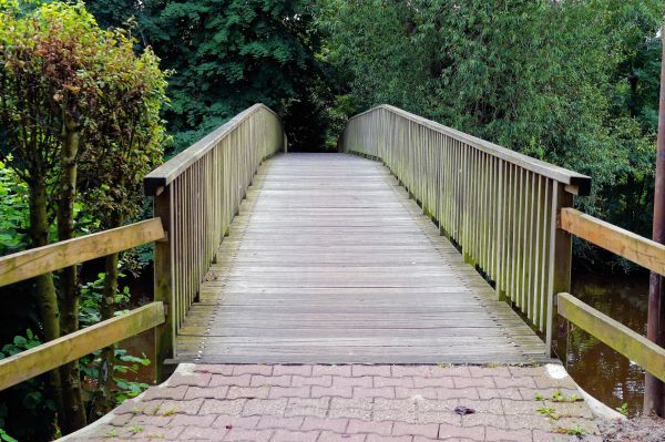 pont,bois,Passerelle,Web,parc,arrière-cour