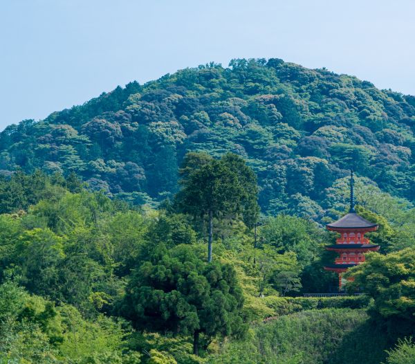 paesaggio, albero, natura, foresta, montagna, architettura