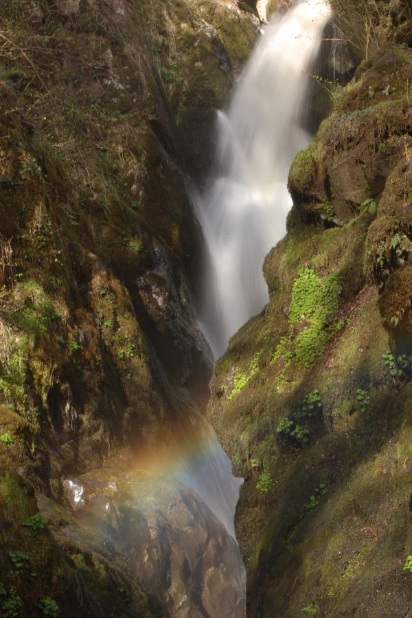 Landschaft, Wasser, Natur, Wasserfall, Wildnis, Nebel