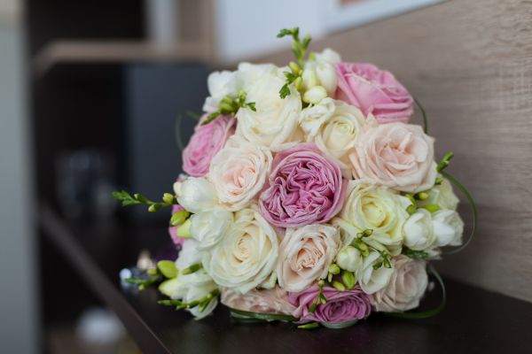 main, plante, femme, fleur, blanc, bague