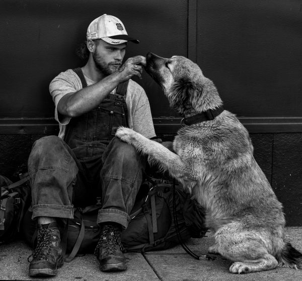 homme,la personne,noir et blanc,gens,blanc,chien