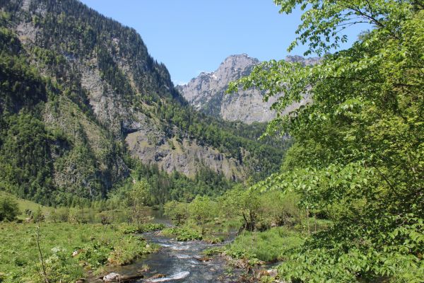 Wasser, Natur, Wald, Wildnis, Gehen, Berg