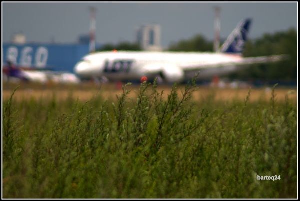 ala, aereo, aereo, Europa, veicolo, linea aerea