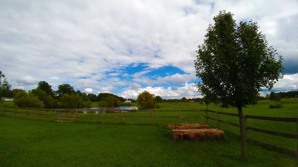 panorama, árvore, natureza, grama, montanha, agua