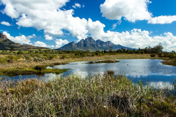 Landschaft,Natur,Wasser,Gras,Sumpf,Wildnis