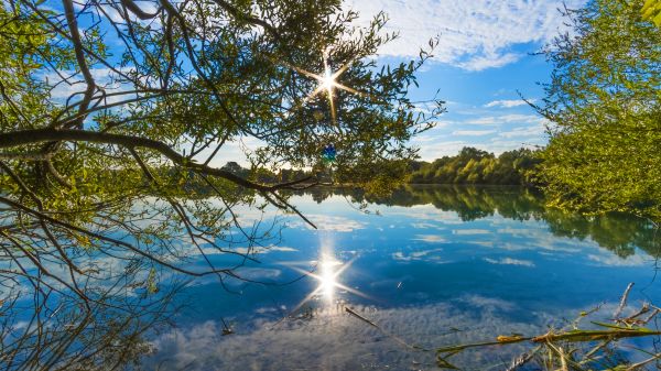 water,natuur,hemel,reflectie,wetland,natuurgebied