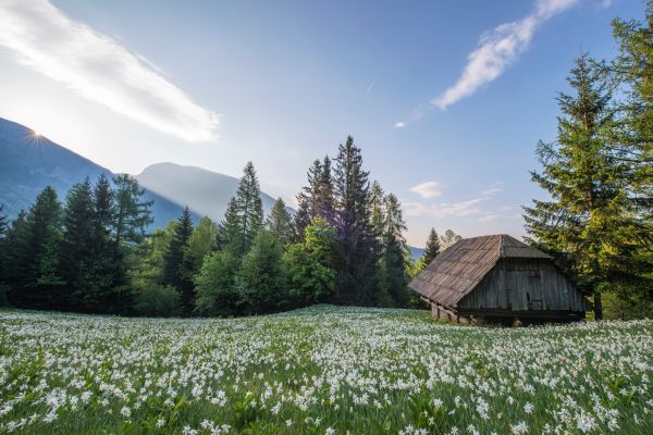 peisaj,natură,iarbă,pustie,Munte,camp