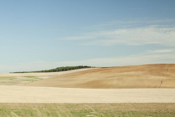 landschap, zee, gras, zand, horizon, wolk