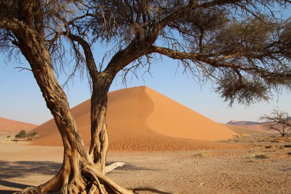 paisaje,naturaleza,arena,desierto,Desierto,África