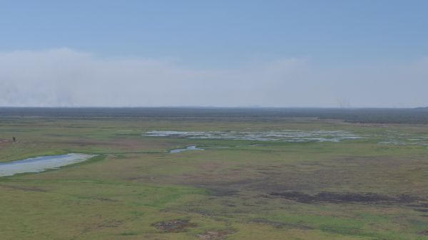 paesaggio, mare, costa, orizzonte, palude, campo